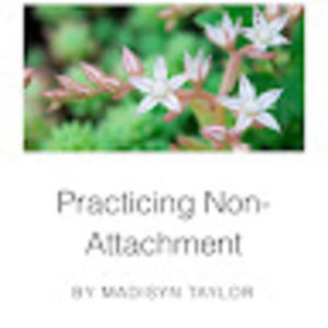 Meet your Posher, Dorothy